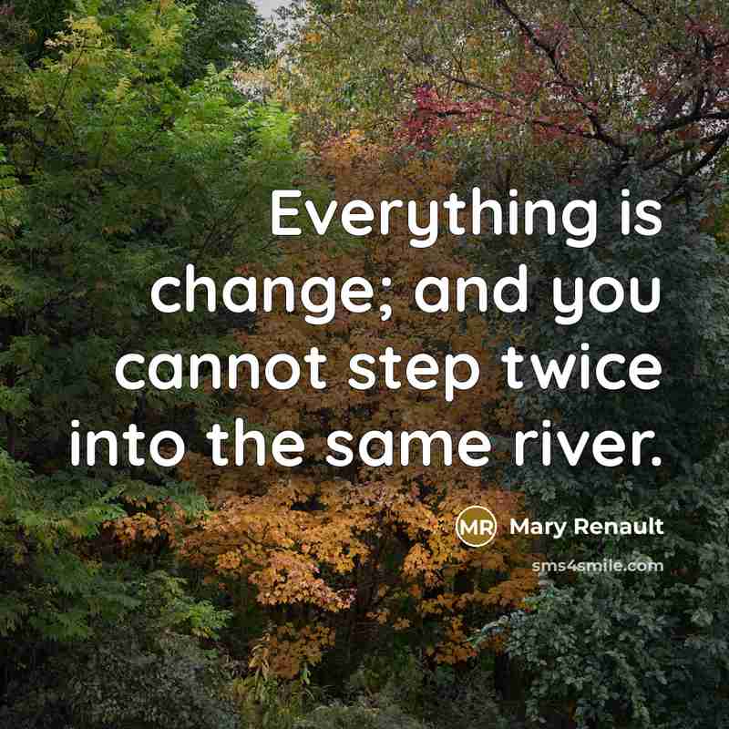 “Everything is change; and you cannot step twice into the same river.” quote by Mary Renault