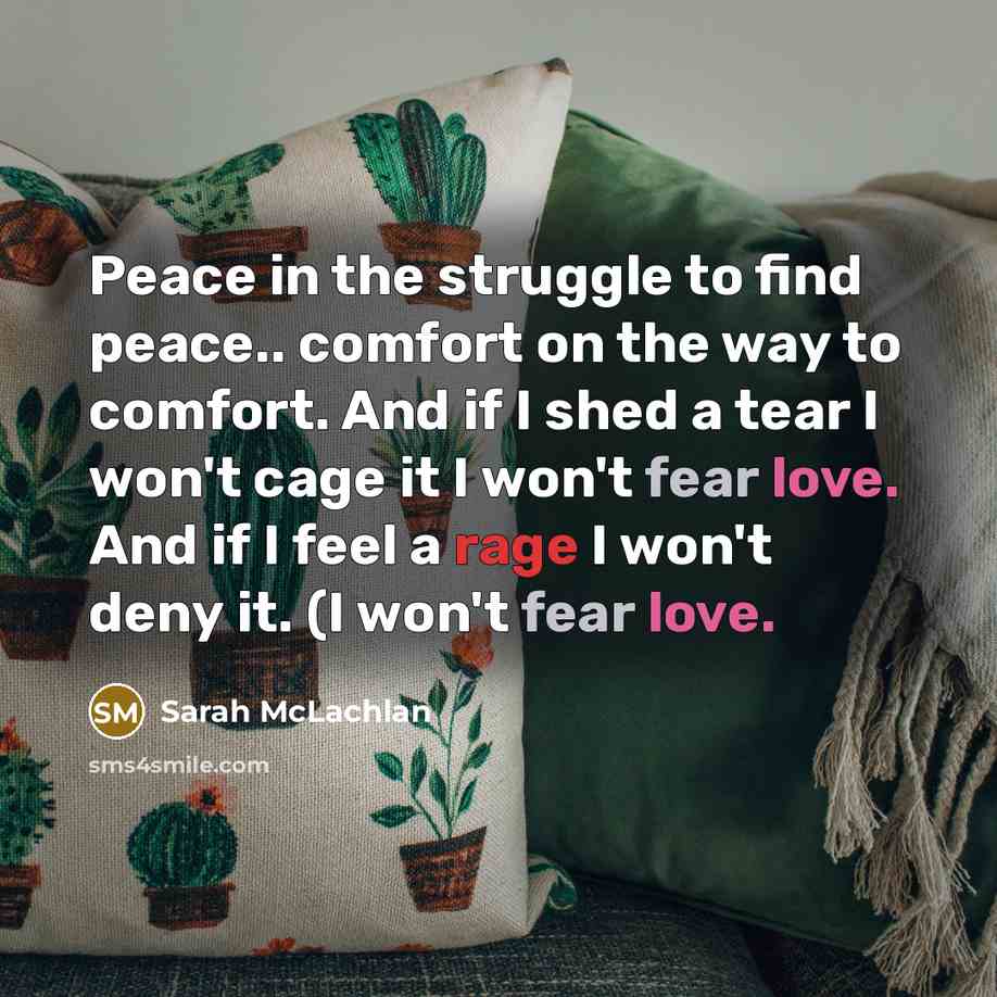 “Peace in the struggle to find peace.. comfort on the way to comfort. And if I shed a tear I won't cage it I won't fear love. And if I feel a rage I won't deny it. (I won't fear love.” quote by Sarah McLachlan