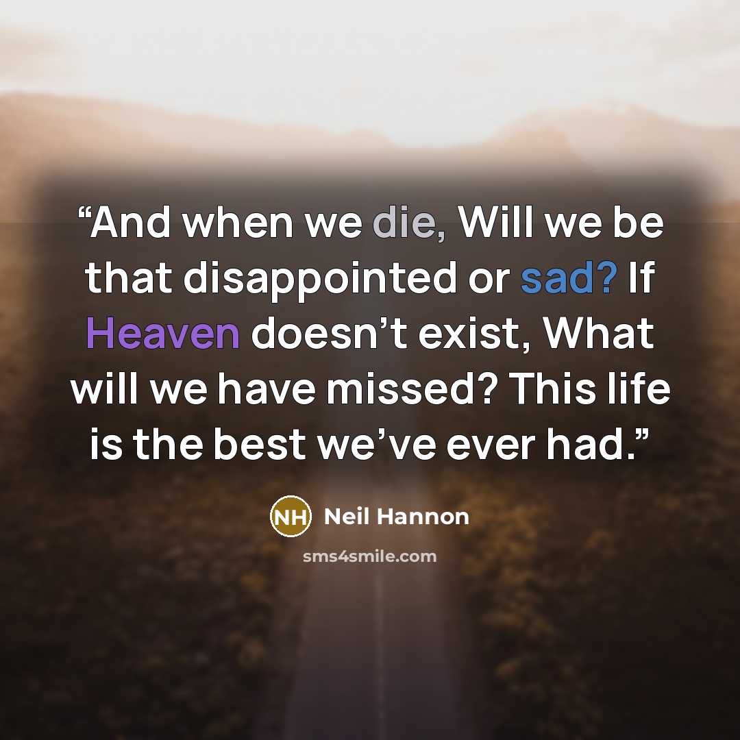 “And when we die, Will we be that disappointed or sad? If Heaven doesn't exist, What will we have missed? This life is the best we've ever had.” quote by Neil Hannon