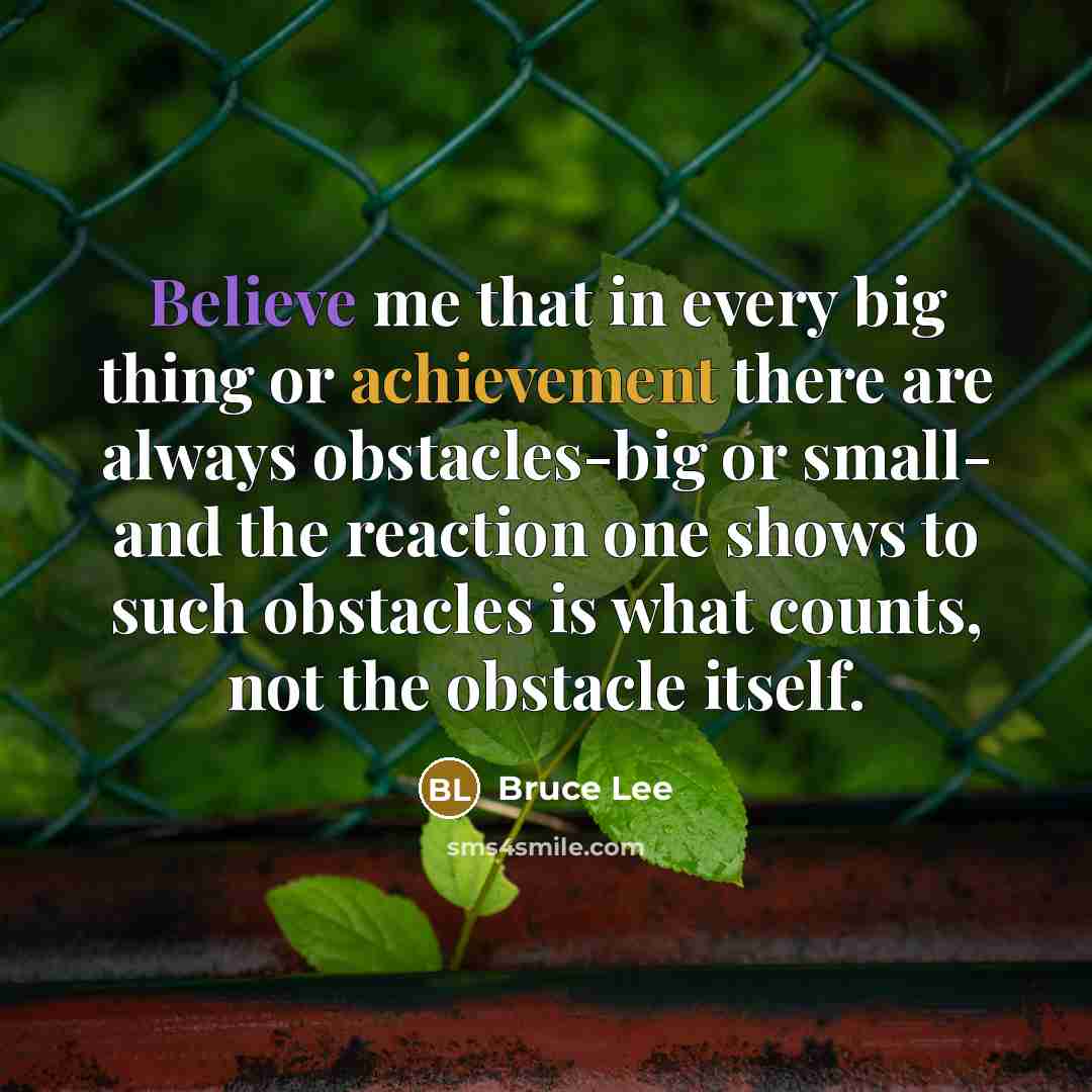 “Believe me that in every big thing or achievement there are always obstacles-big or small- and the reaction one shows to such obstacles is what counts, not the obstacle itself.” quote by Bruce Lee