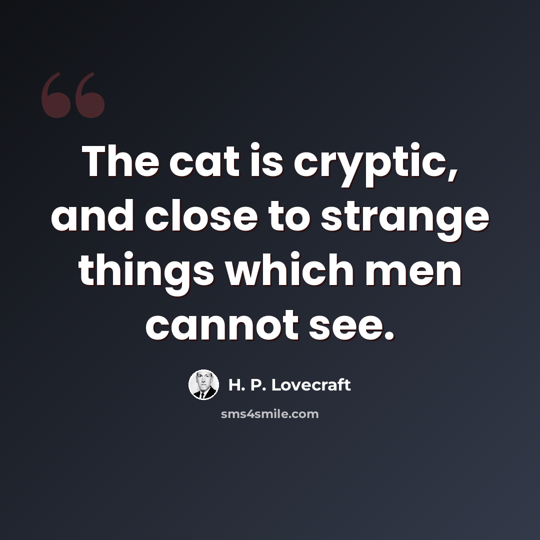 “The cat is cryptic, and close to strange things which men cannot see.” quote by H. P. Lovecraft