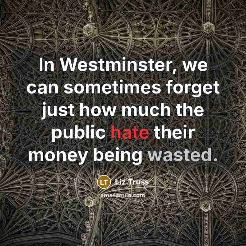 “In Westminster, we can sometimes forget just how much the public hate their money being wasted.” quote by Liz Truss