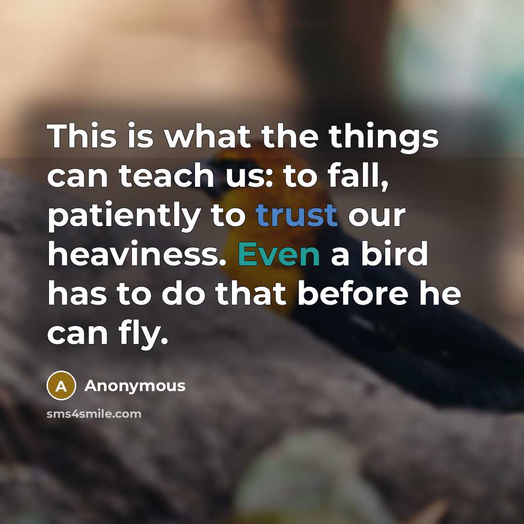 “This is what the things can teach us: to fall, patiently to trust our heaviness. Even a bird has to do that before he can fly.” quote by Anonymous