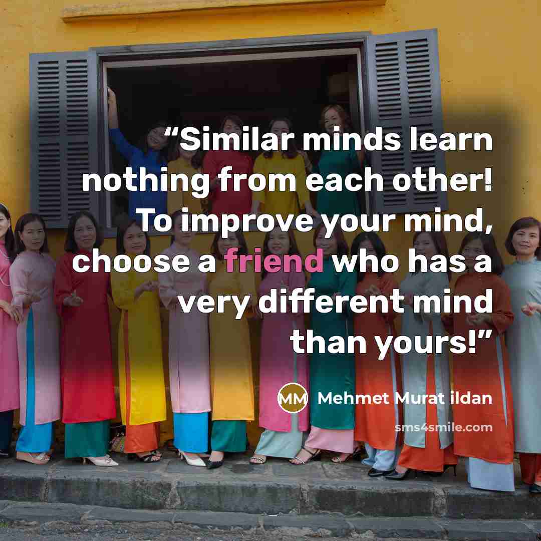 “Similar minds learn nothing from each other! To improve your mind, choose a friend who has a very different mind than yours!” quote by Mehmet Murat ildan