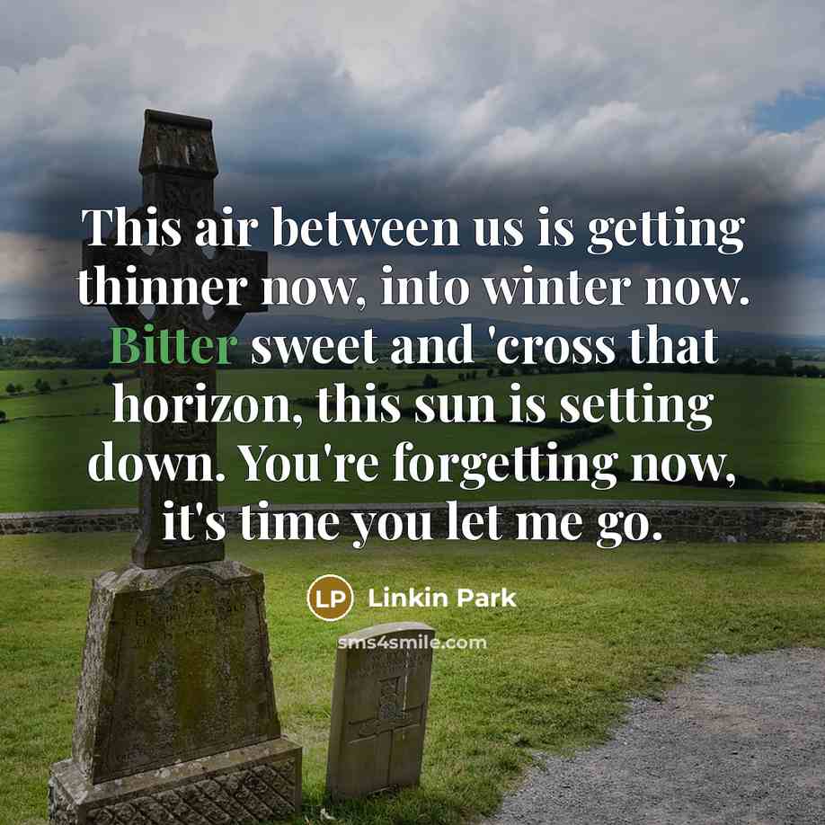 “This air between us is getting thinner now, into winter now. Bitter sweet and 'cross that horizon, this sun is setting down. You're forgetting now, it's time you let me go.” quote by Linkin Park