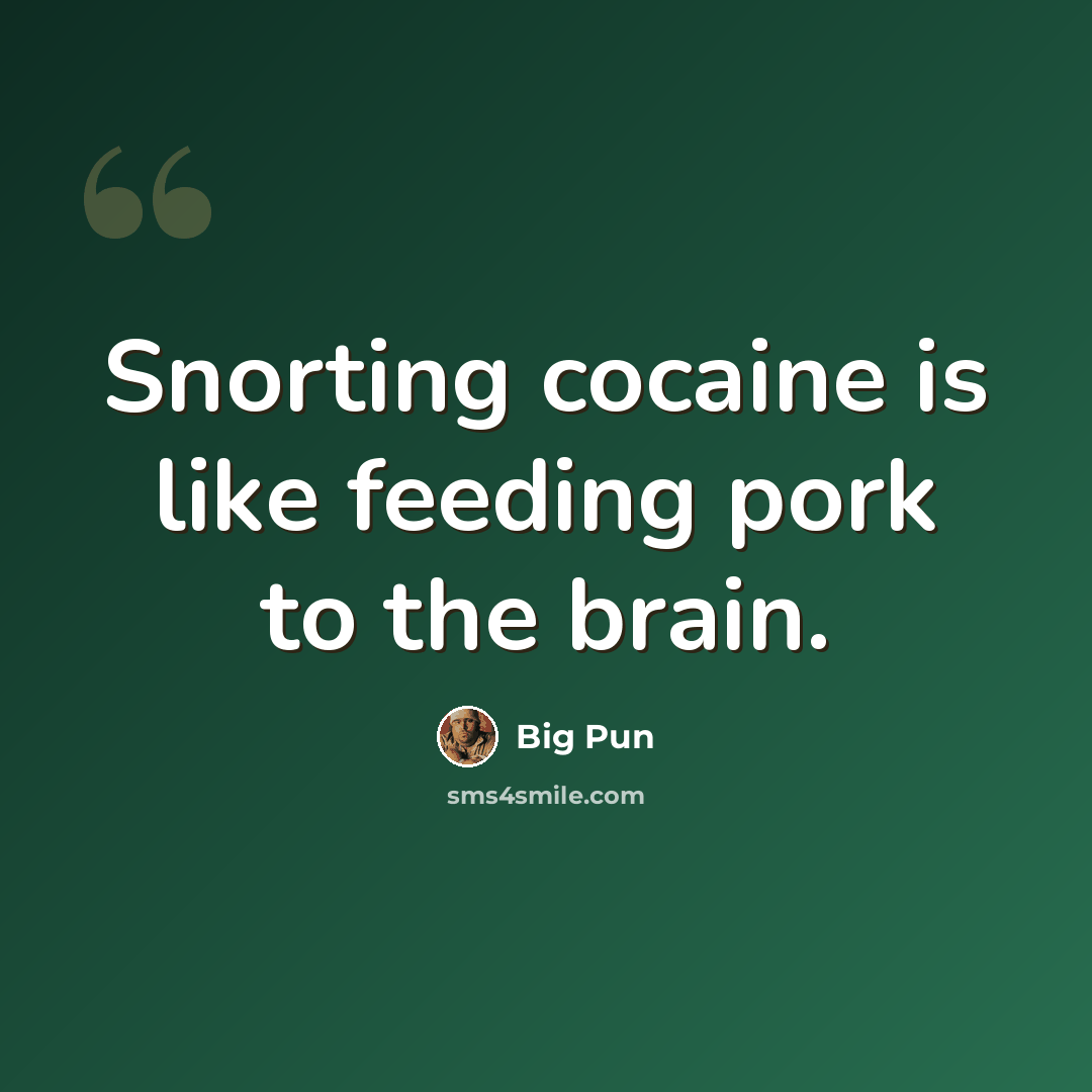 “Snorting cocaine is like feeding pork to the brain.” quote by Big Pun