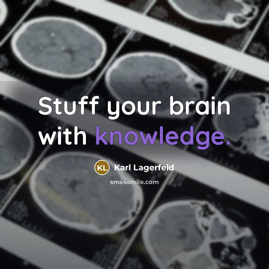 “Stuff your brain with knowledge.” quote by Karl Lagerfeld