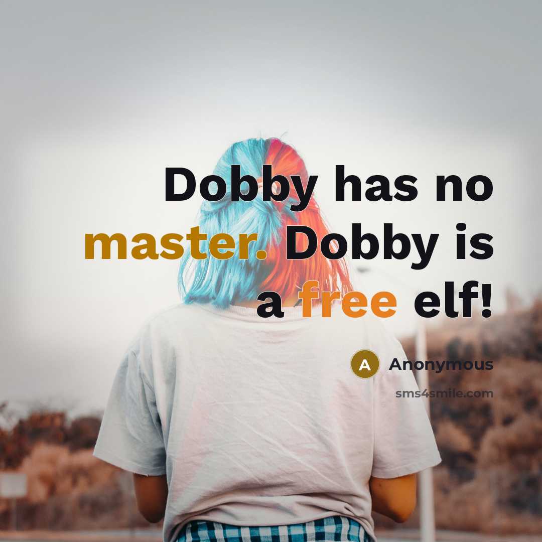 “Dobby has no master. Dobby is a free elf!” quote by Anonymous