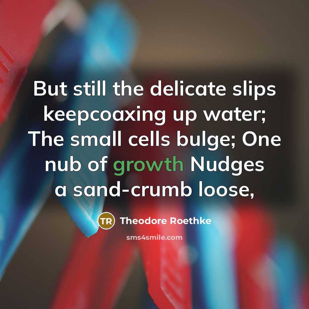 “But still the delicate slips keepcoaxing up water; The small cells bulge; One nub of growth Nudges a sand-crumb loose,” quote by Theodore Roethke