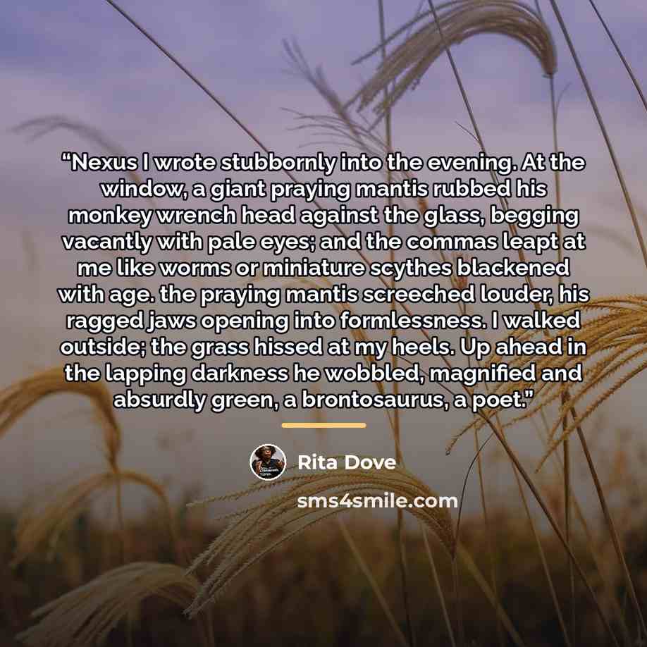 “Nexus I wrote stubbornly into the evening. At the window, a giant praying mantis rubbed his monkey wrench head against the glass, begging vacantly with pale eyes; and the commas leapt at me like worms or miniature scythes blackened with age. the praying mantis screeched louder, his ragged jaws…” quote by Rita Dove