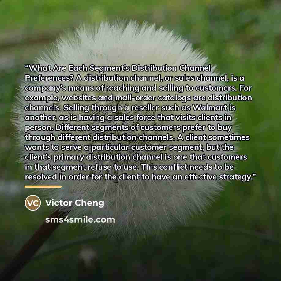 “What Are Each Segment’s Distribution Channel Preferences? A distribution channel, or sales channel, is a company’s means of reaching and selling to customers. For example, websites and mail-order catalogs are distribution channels. Selling through a reseller such as Walmart is another, as is…” quote by Victor Cheng