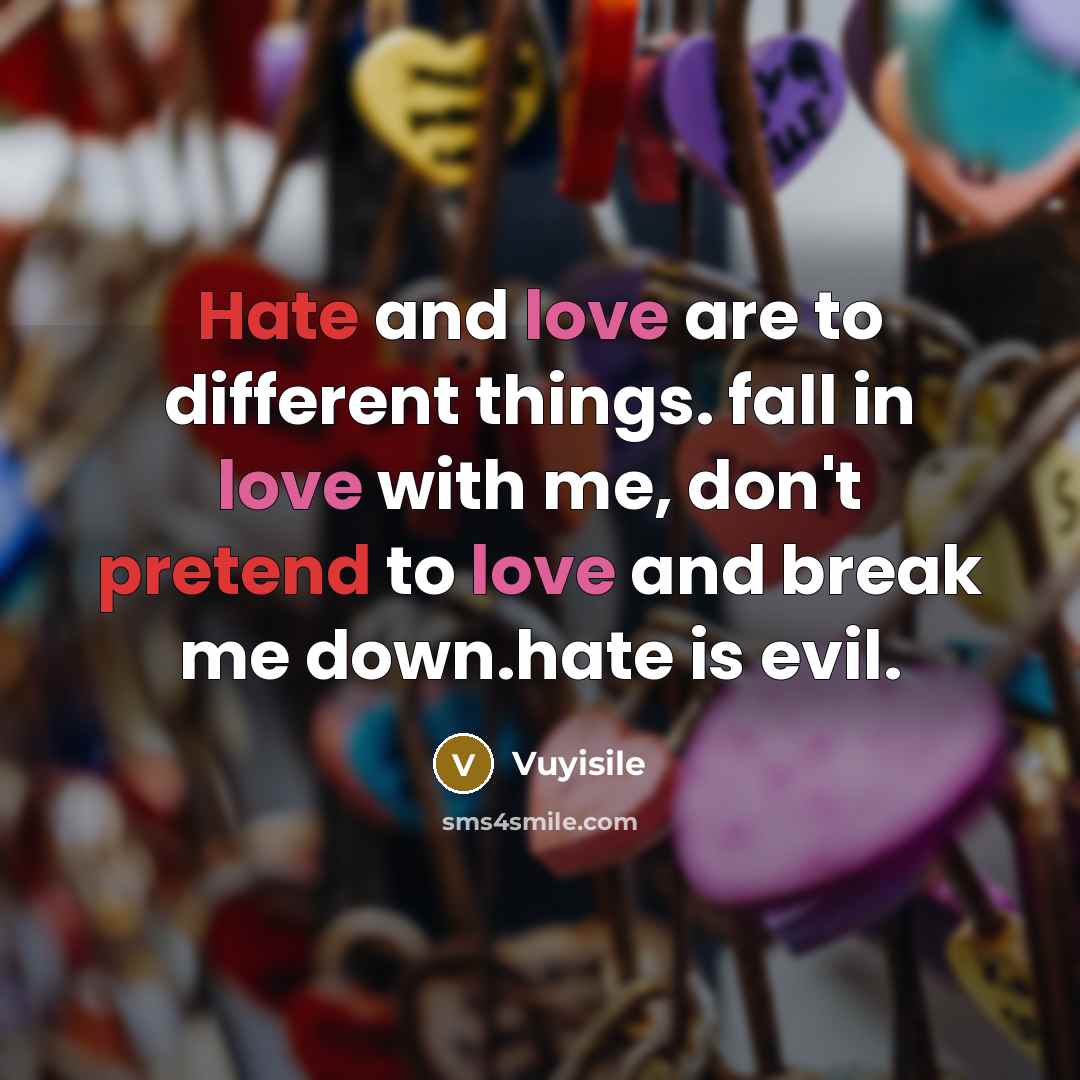 “Hate and love are to different things. fall in love with me, don't pretend to love and break me down.hate is evil.” quote by Vuyisile