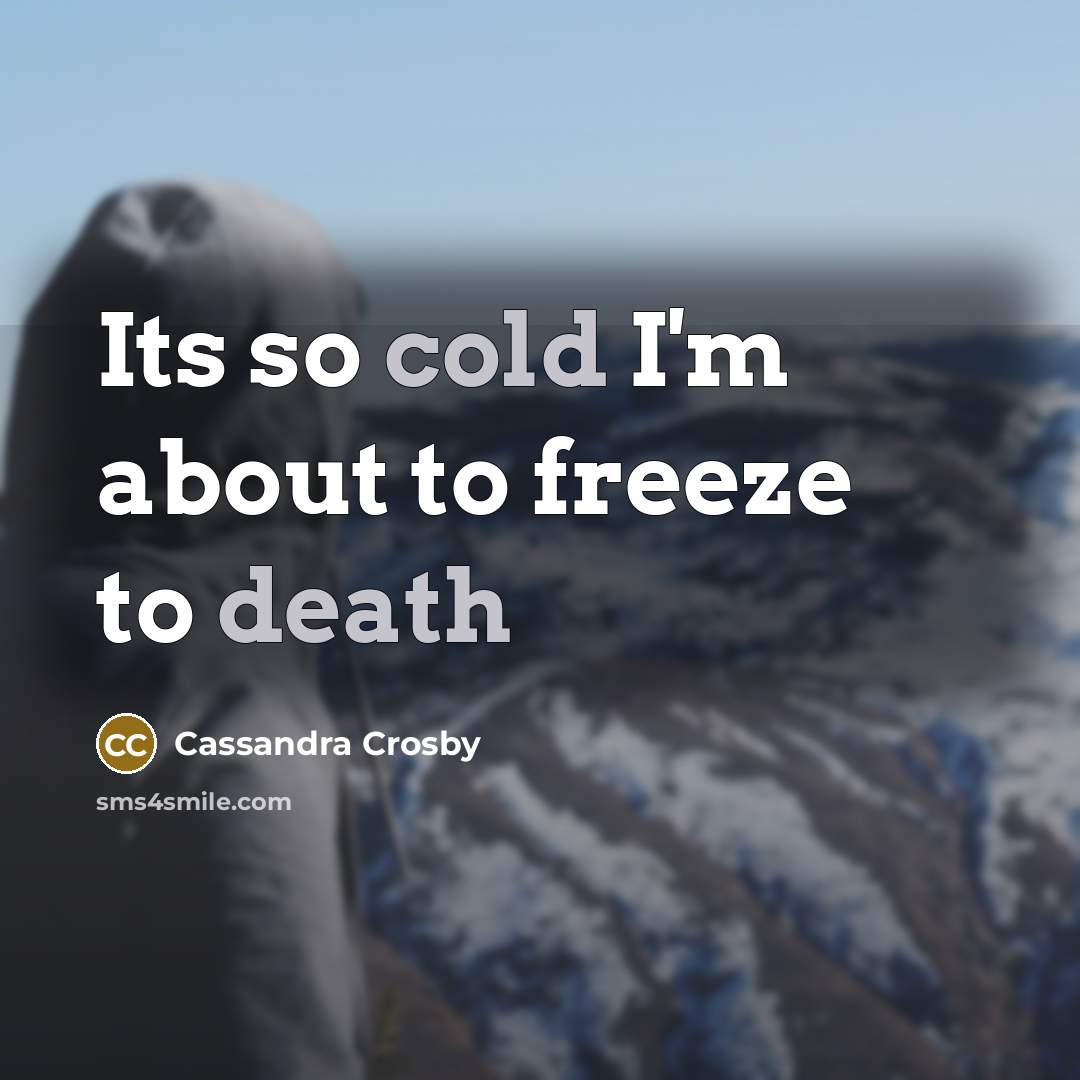 “Its so cold I'm about to freeze to death” quote by Cassandra Crosby