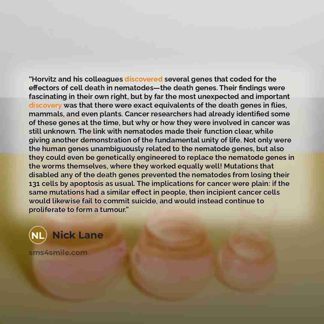 “Horvitz and his colleagues discovered several genes that coded for the effectors of cell death in nematodes—the death genes. Their findings were fascinating in their own right, but by far the most unexpected and important discovery was that there were exact equivalents of the death genes in flies…” quote by Nick Lane