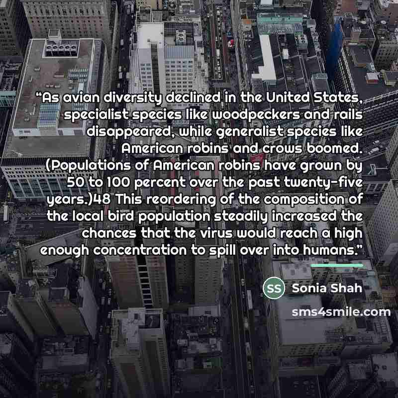 “As avian diversity declined in the United States, specialist species like woodpeckers and rails disappeared, while generalist species like American robins and crows boomed. (Populations of American robins have grown by 50 to 100 percent over the past twenty-five years.)48 This reordering of the…” quote by Sonia Shah