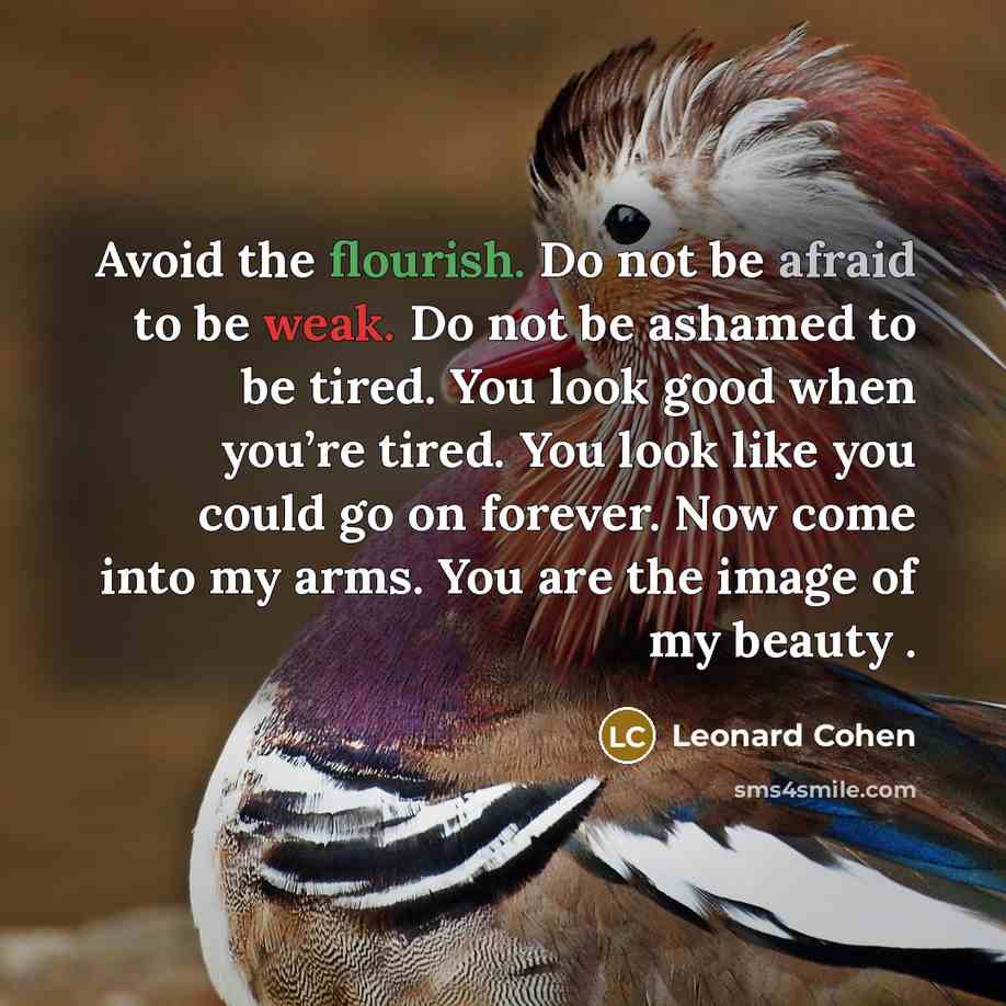 “Avoid the flourish. Do not be afraid to be weak. Do not be ashamed to be tired. You look good when you’re tired. You look like you could go on forever. Now come into my arms. You are the image of my beauty .” quote by Leonard Cohen