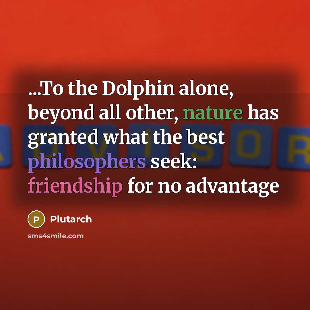 “...To the Dolphin alone, beyond all other, nature has granted what the best philosophers seek: friendship for no advantage” quote by Plutarch