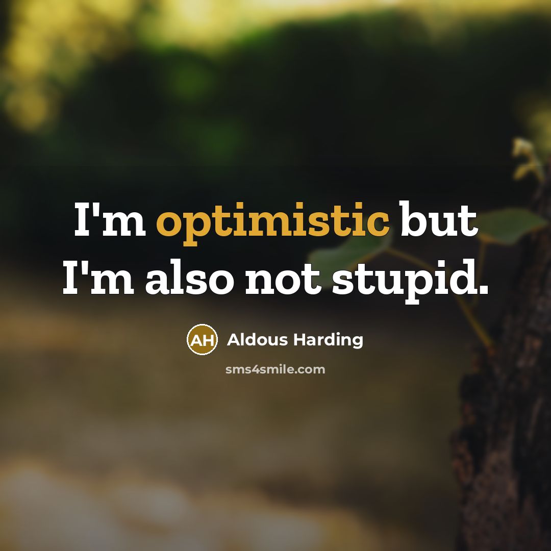 “I'm optimistic but I'm also not stupid.” quote by Aldous Harding