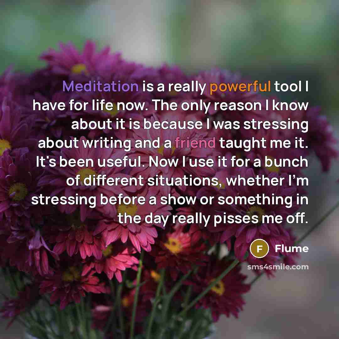 “Meditation is a really powerful tool I have for life now. The only reason I know about it is because I was stressing about writing and a friend taught me it. It's been useful. Now I use it for a bunch of different situations, whether I'm stressing before a show or something in the day really…” quote by Flume
