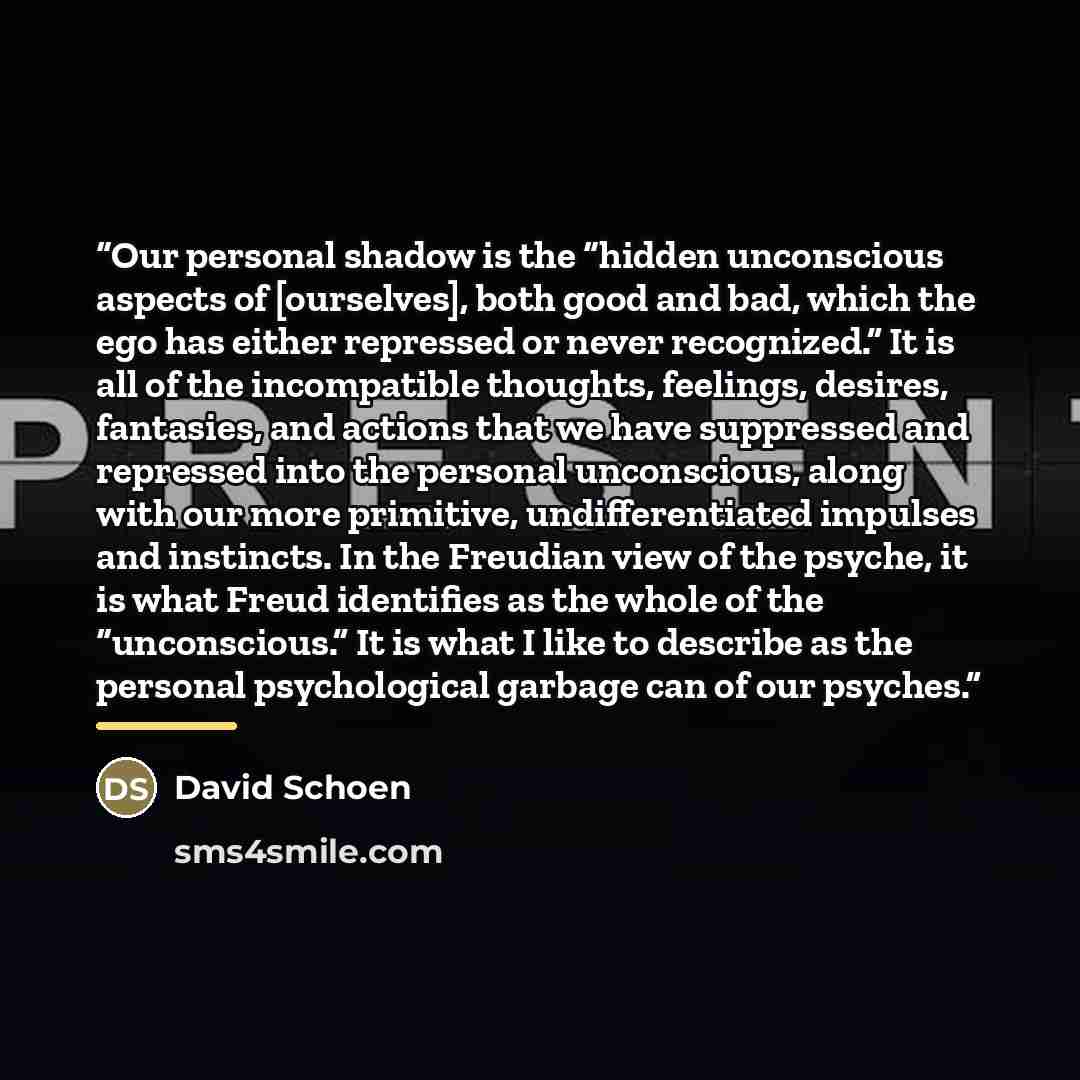 “Our personal shadow is the “hidden unconscious aspects of [ourselves], both good and bad, which the ego has either repressed or never recognized.” It is all of the incompatible thoughts, feelings, desires, fantasies, and actions that we have suppressed and repressed into the personal unconscious…” quote by David Schoen