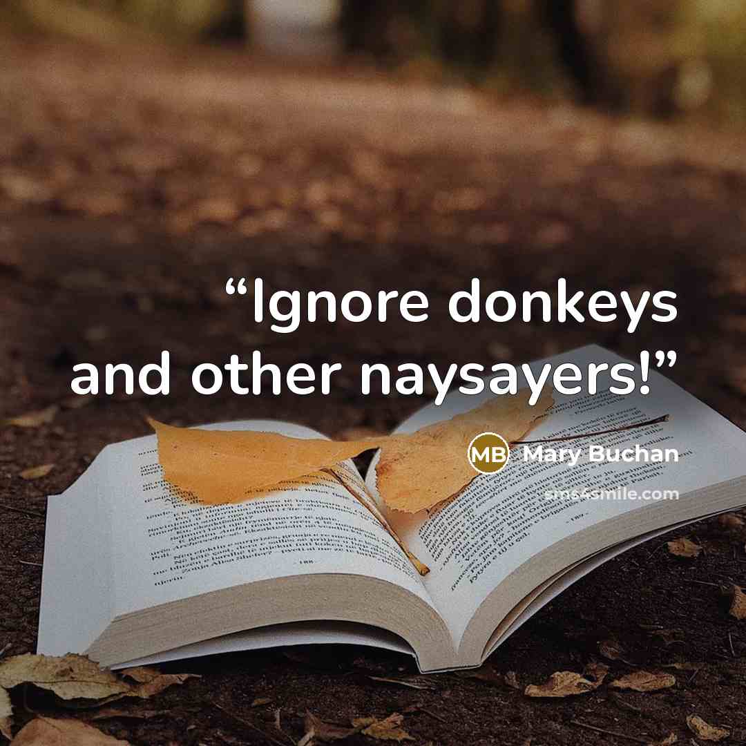 “Ignore donkeys and other naysayers!” quote by Mary Buchan