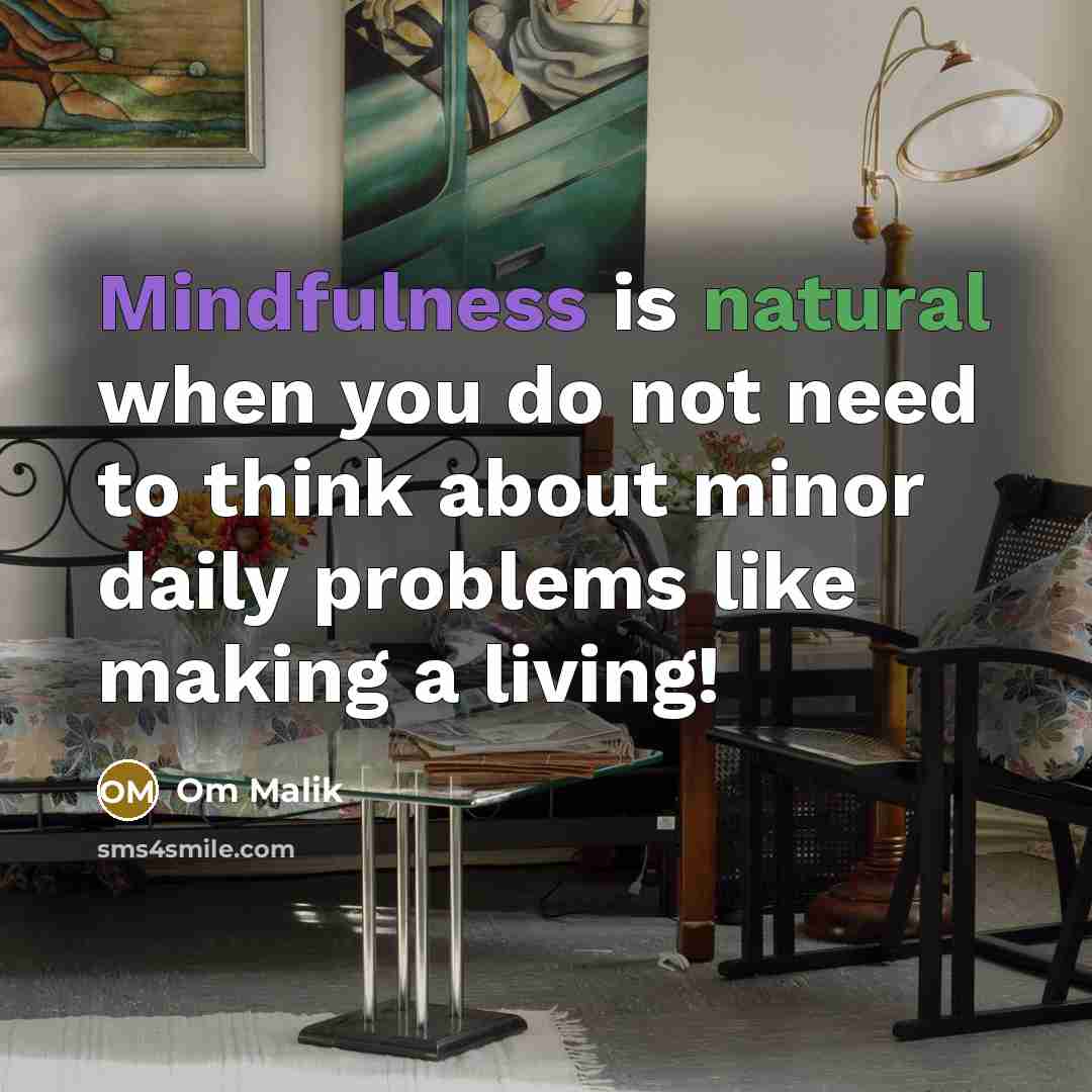 “Mindfulness is natural when you do not need to think about minor daily problems like making a living!” quote by Om Malik