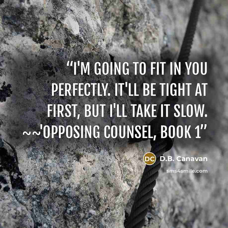 “I'm going to fit in you perfectly. It'll be tight at first, but I'll take it slow. ~~'Opposing Counsel, book 1” quote by D.B. Canavan