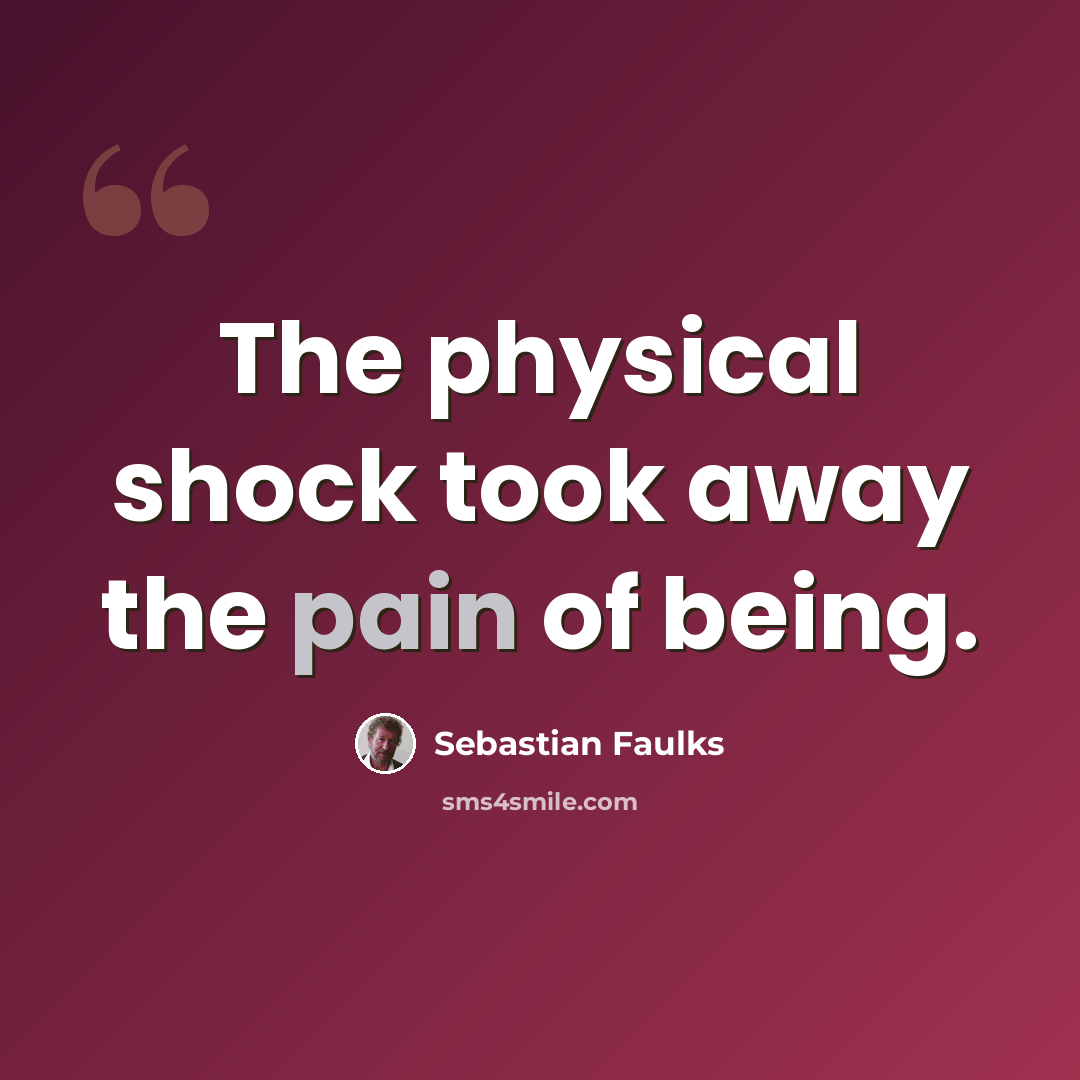 “The physical shock took away the pain of being.” quote by Sebastian Faulks