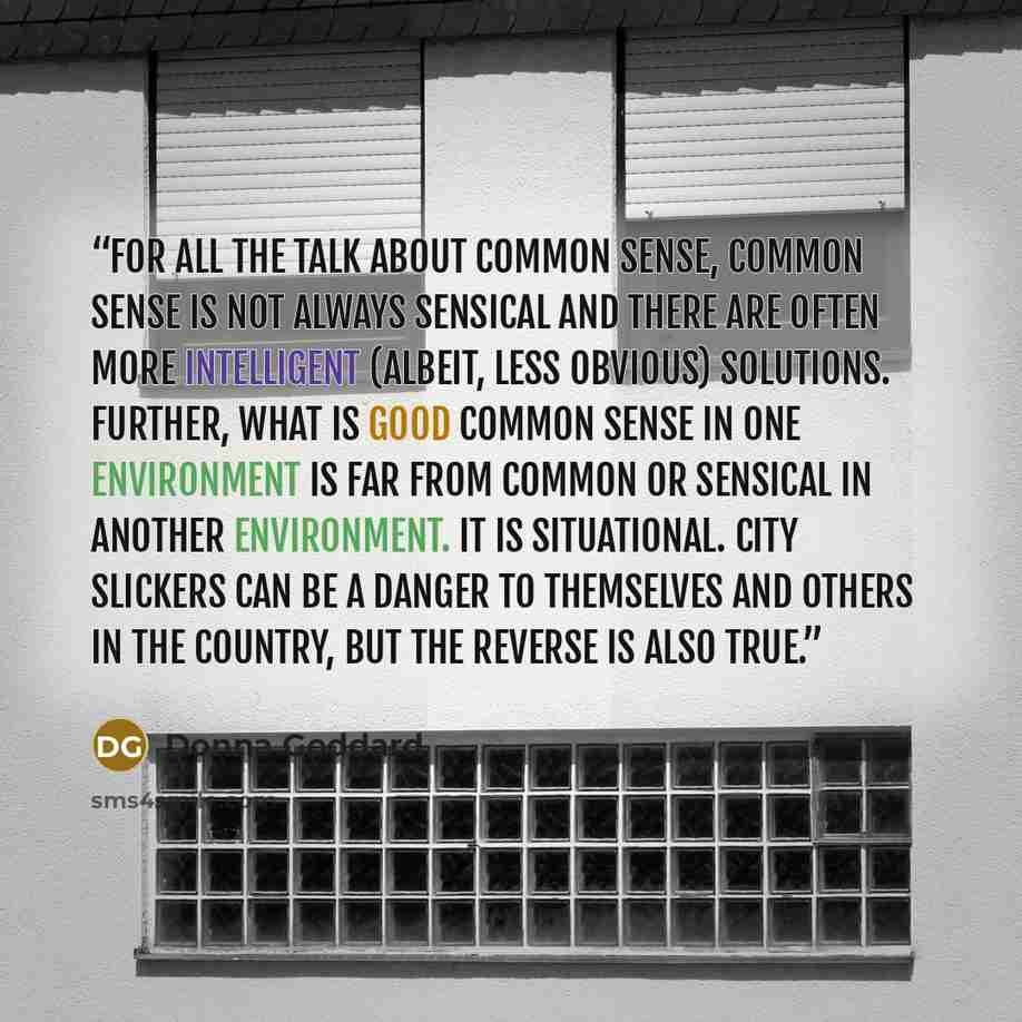 “For all the talk about common sense, common sense is not always sensical and there are often more intelligent (albeit, less obvious) solutions. Further, what is good common sense in one environment is far from common or sensical in another environment. It is situational. City slickers can be a…” quote by Donna Goddard