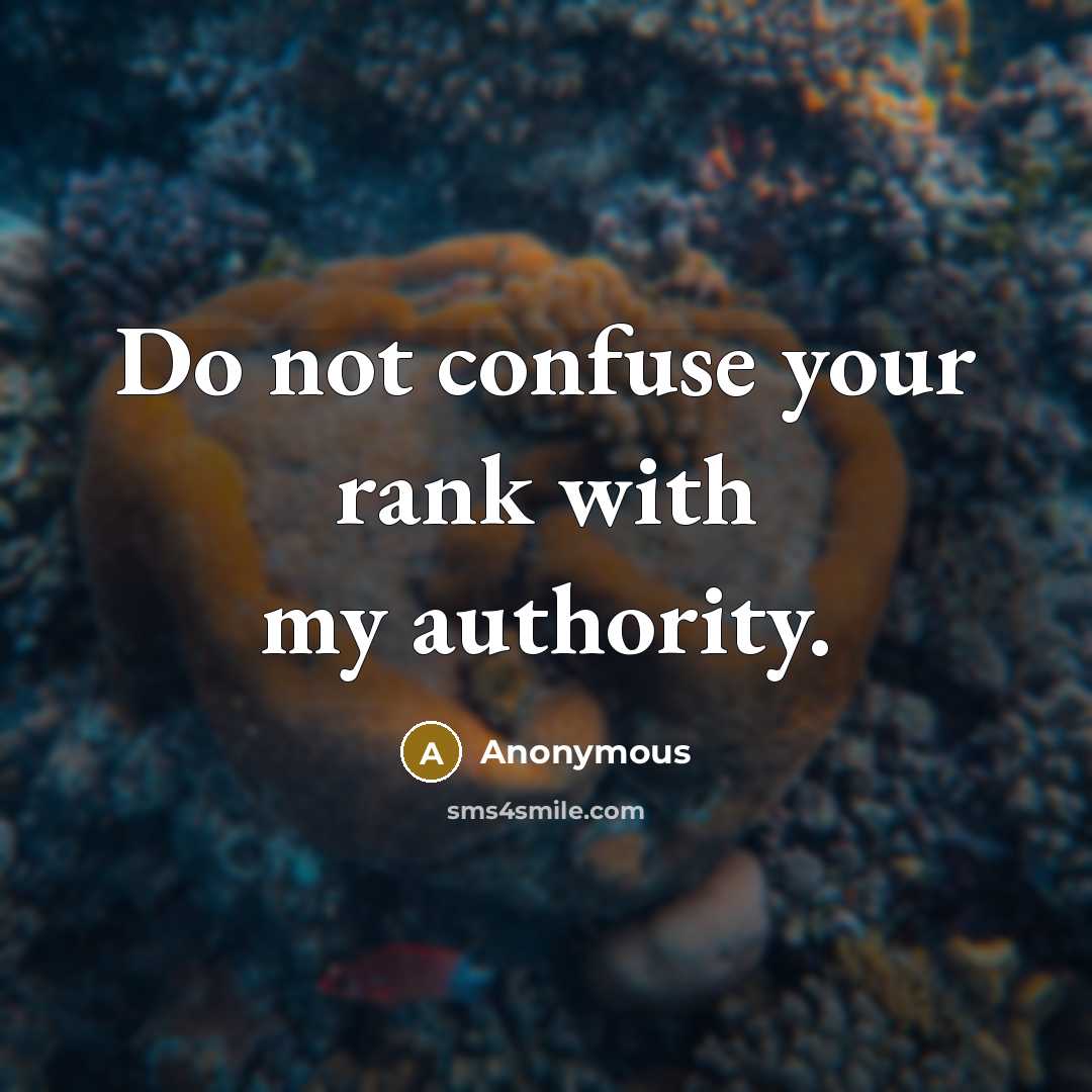 “Do not confuse your rank with my authority.” quote by Anonymous