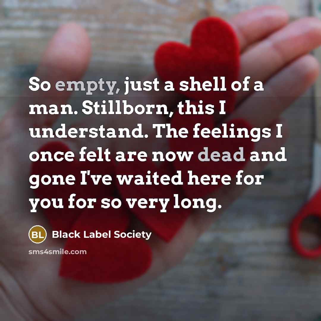 “So empty, just a shell of a man. Stillborn, this I understand. The feelings I once felt are now dead and gone I've waited here for you for so very long.” quote by Black Label Society