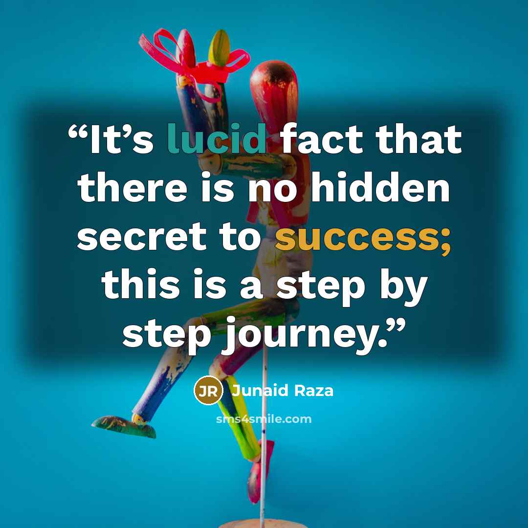 “It’s lucid fact that there is no hidden secret to success; this is a step by step journey.” quote by Junaid Raza