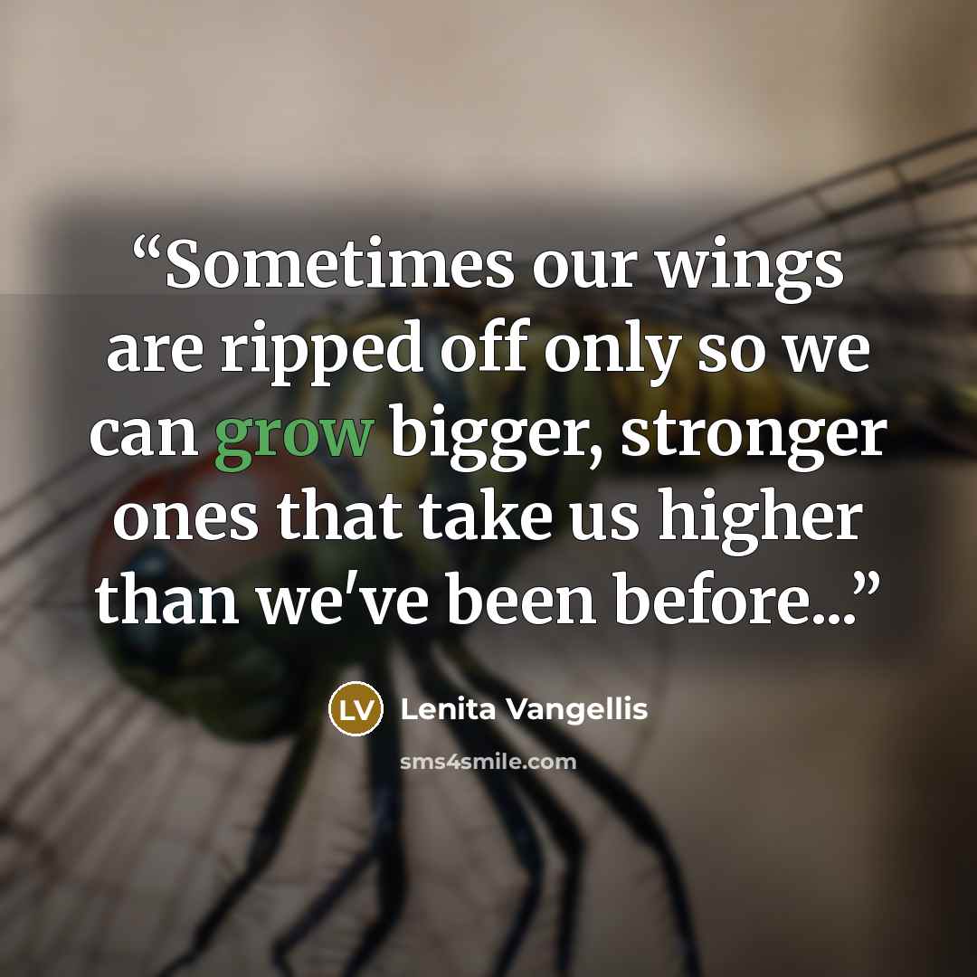 “Sometimes our wings are ripped off only so we can grow bigger, stronger ones that take us higher than we've been before...” quote by Lenita Vangellis