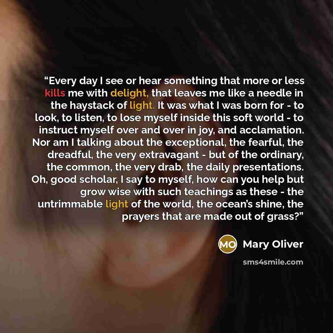 “Every day I see or hear something that more or less kills me with delight, that leaves me like a needle in the haystack of light. It was what I was born for - to look, to listen, to lose myself inside this soft world - to instruct myself over and over in joy, and acclamation. Nor am I talking…” quote by Mary Oliver