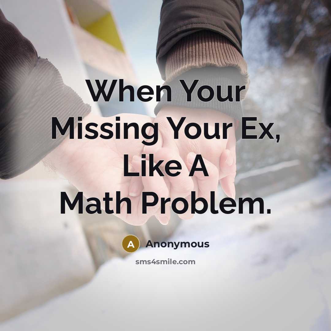 “When Your Missing Your Ex, Like A Math Problem.” quote by Anonymous