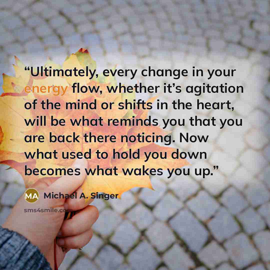 “Ultimately, every change in your energy flow, whether it’s agitation of the mind or shifts in the heart, will be what reminds you that you are back there noticing. Now what used to hold you down becomes what wakes you up.” quote by Michael A. Singer