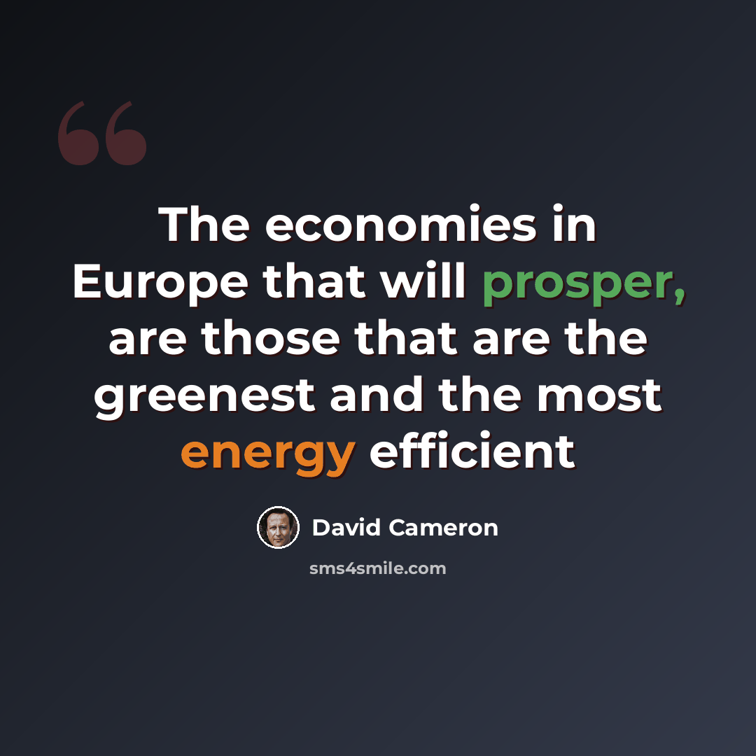 “The economies in Europe that will prosper, are those that are the greenest and the most energy efficient” quote by David Cameron