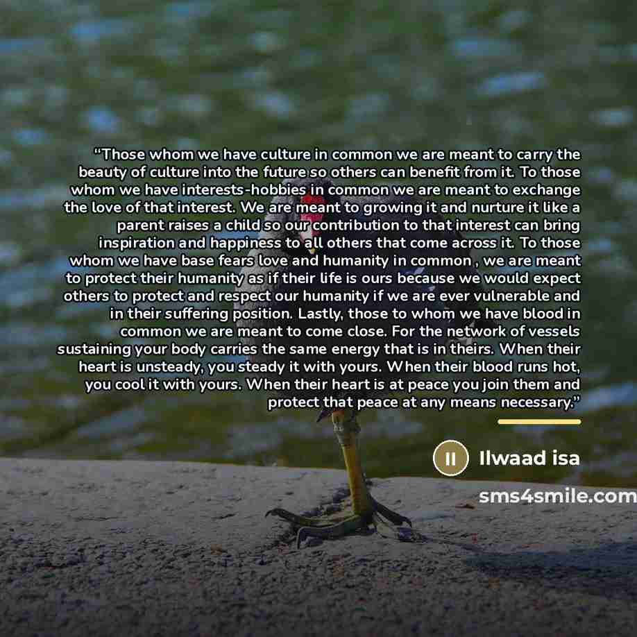 “Those whom we have culture in common we are meant to carry the beauty of culture into the future so others can benefit from it. To those whom we have interests-hobbies in common we are meant to exchange the love of that interest. We are meant to growing it and nurture it like a parent raises a…” quote by Ilwaad isa