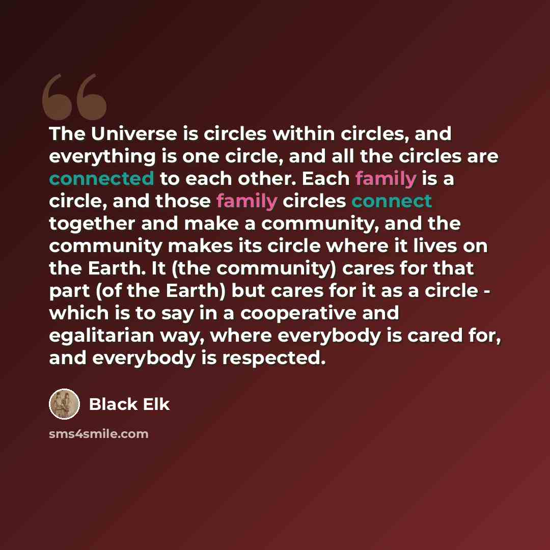 “The Universe is circles within circles, and everything is one circle, and all the circles are connected to each other. Each family is a circle, and those family circles connect together and make a community, and the community makes its circle where it lives on the Earth. It (the community) cares…” quote by Black Elk