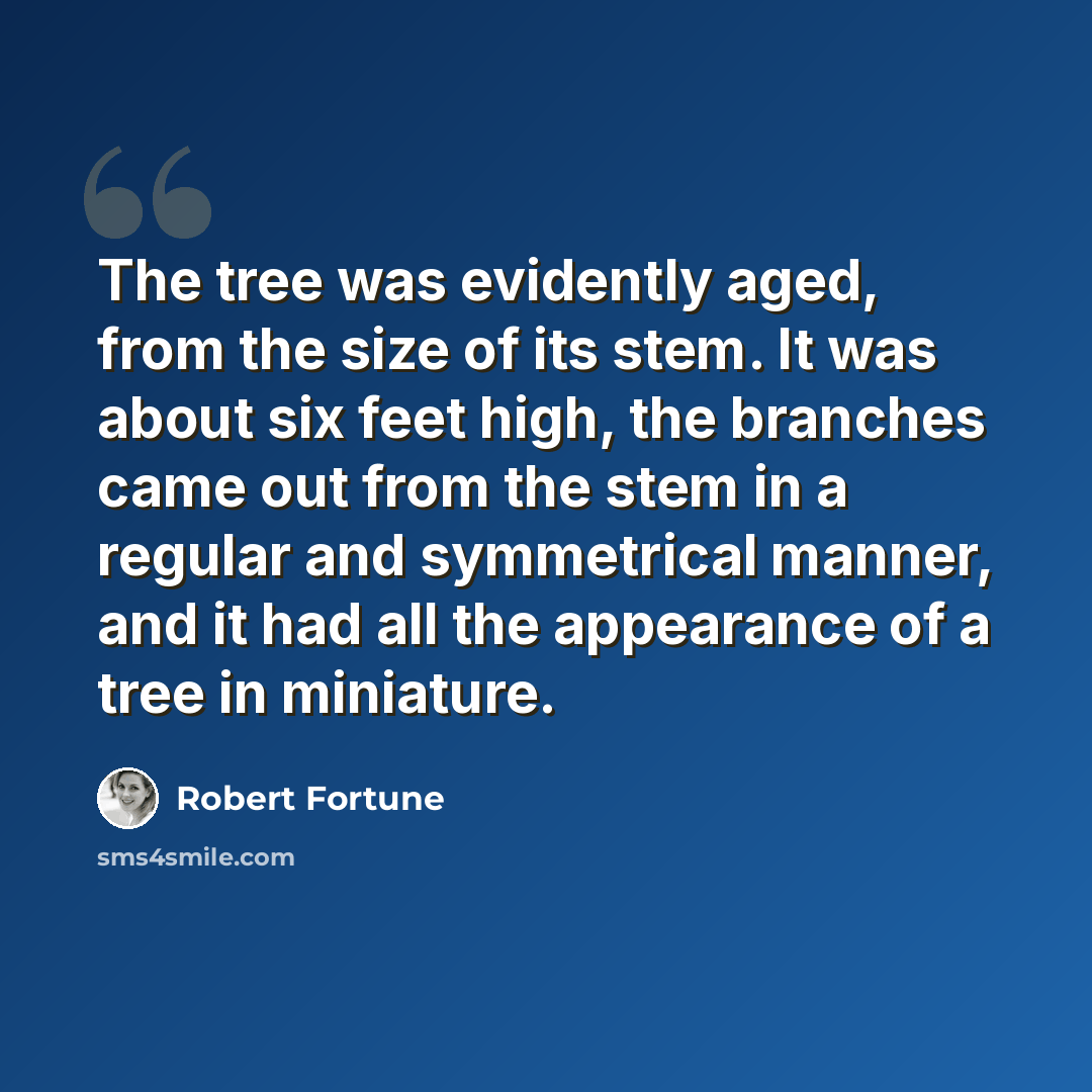 “The tree was evidently aged, from the size of its stem. It was about six feet high, the branches came out from the stem in a regular and symmetrical manner, and it had all the appearance of a tree in miniature.” quote by Robert Fortune