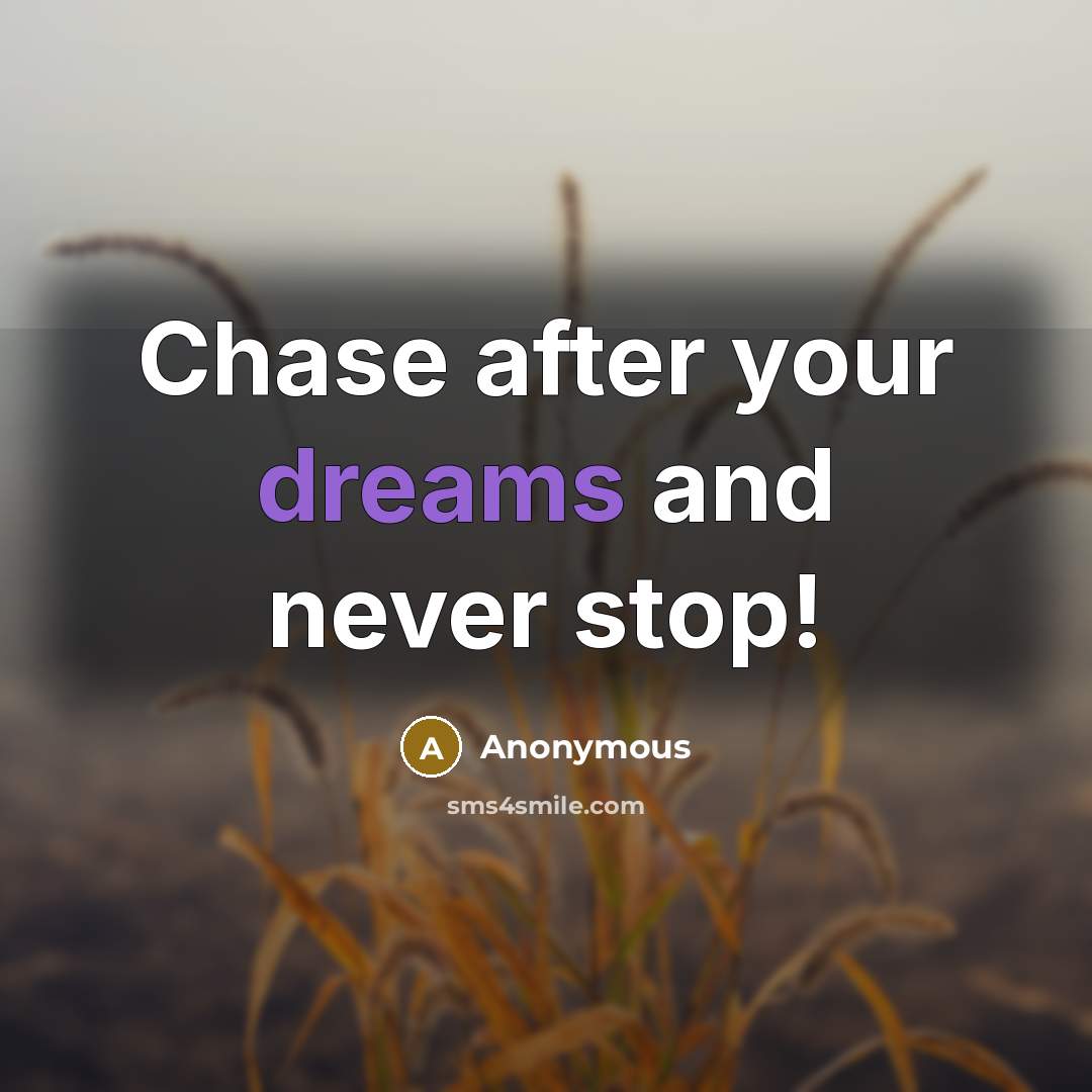“Chase after your dreams and never stop!” quote by Anonymous