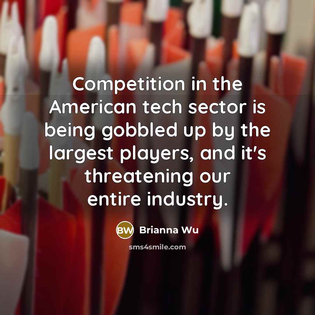 “Competition in the American tech sector is being gobbled up by the largest players, and it's threatening our entire industry.” quote by Brianna Wu