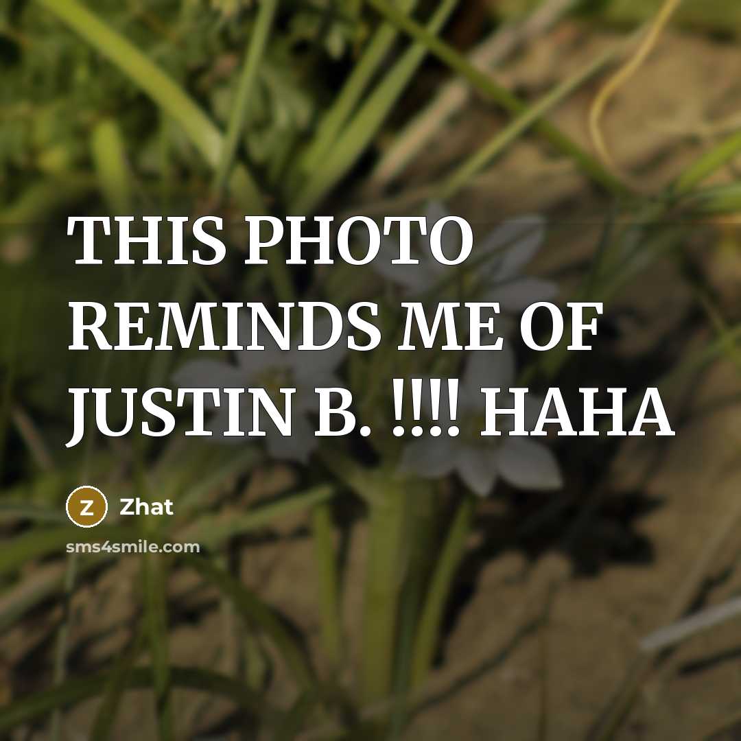 “THIS PHOTO REMINDS ME OF JUSTIN B. !!!! HAHA” quote by Zhat