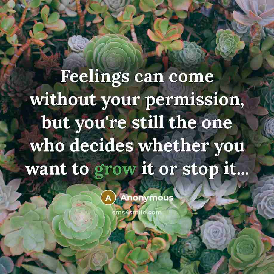 “Feelings can come without your permission, but you're still the one who decides whether you want to grow it or stop it...” quote by Anonymous