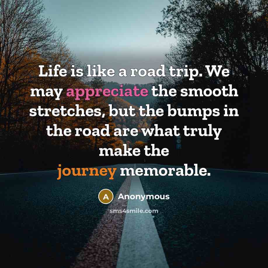 “Life is like a road trip. We may appreciate the smooth stretches, but the bumps in the road are what truly make the journey memorable.” quote by Anonymous