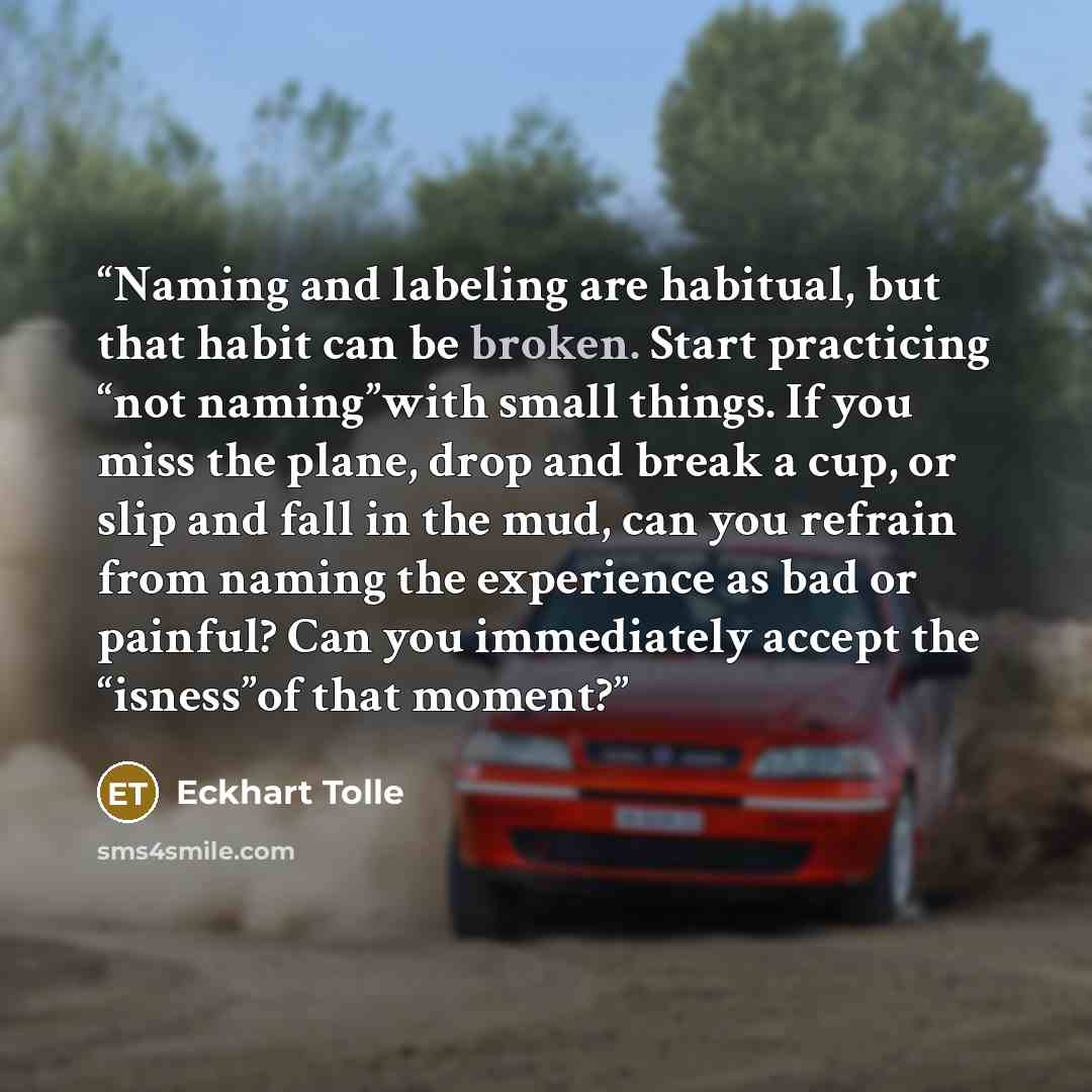 “Naming and labeling are habitual, but that habit can be broken. Start practicing “not naming”with small things. If you miss the plane, drop and break a cup, or slip and fall in the mud, can you refrain from naming the experience as bad or painful? Can you immediately accept the “isness”of that…” quote by Eckhart Tolle