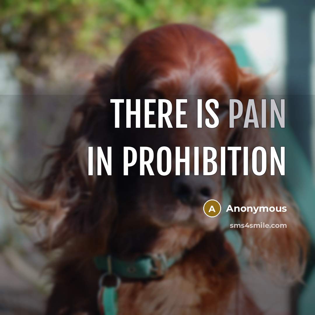 “There is pain in prohibition” quote by Anonymous