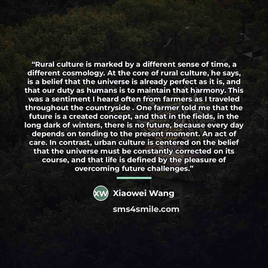 “Rural culture is marked by a different sense of time, a different cosmology. At the core of rural culture, he says, is a belief that the universe is already perfect as it is, and that our duty as humans is to maintain that harmony. This was a sentiment I heard often from farmers as I traveled…” quote by Xiaowei Wang