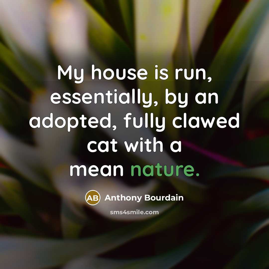 “My house is run, essentially, by an adopted, fully clawed cat with a mean nature.” quote by Anthony Bourdain