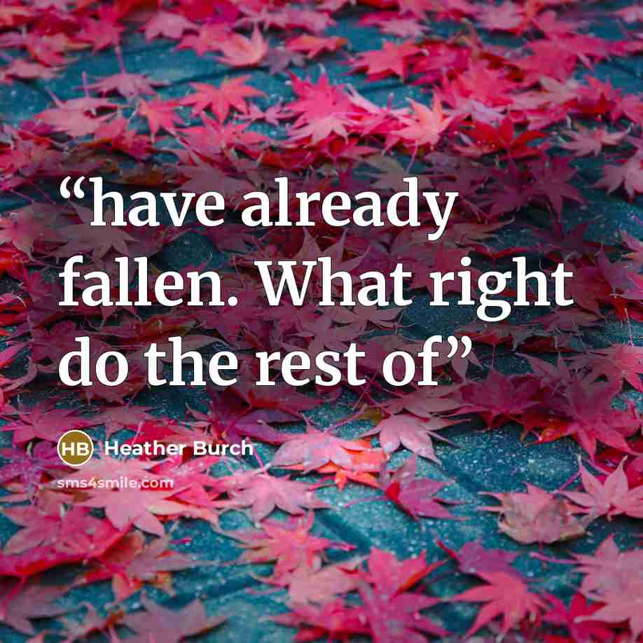 “have already fallen. What right do the rest of” quote by Heather Burch